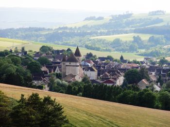 Chitry le Fort - Domaine Colbois, Vins de Chitry